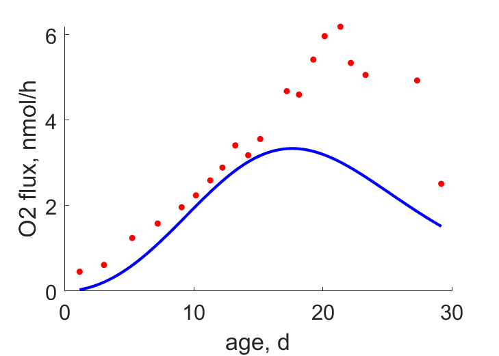 Embryo development, FinnFyhn1995