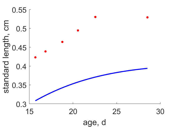 Embryo development, FinnFyhn1995