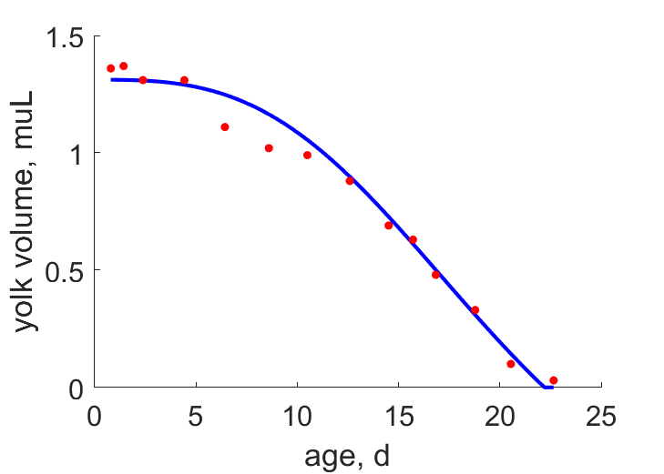 Embryo development, FinnFyhn1995