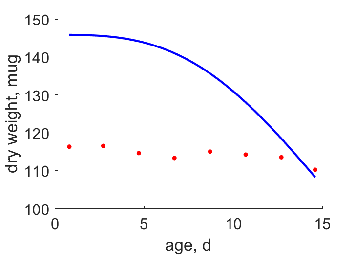 Embryo development, FinnFyhn1995