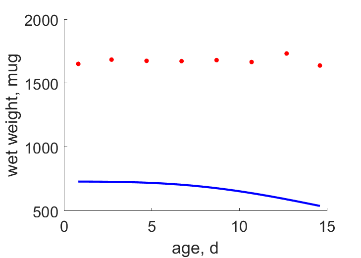 Embryo development, FinnFyhn1995