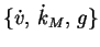 $\{\dot{v}, \, \dot{k}_M, \, g\}$