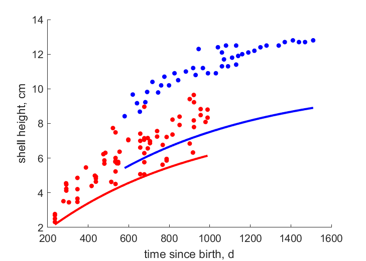 In-situ growth at different food