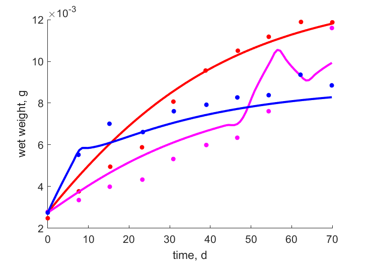 Data for constant, low-high, high-low food supply