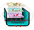 MCP_logo